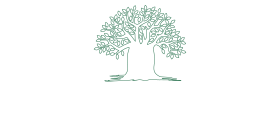 The International Academy of Reflexology & Meridian Therapy