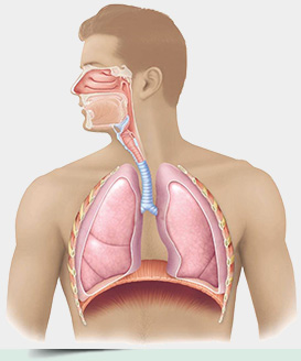 image_cpd5